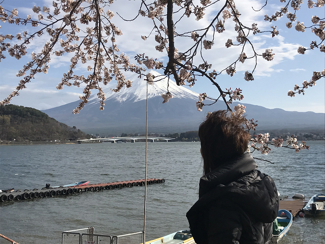 河口湖畔で富士山を見る、後ろ姿美人！！？